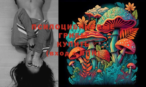 кристаллы Белокуриха