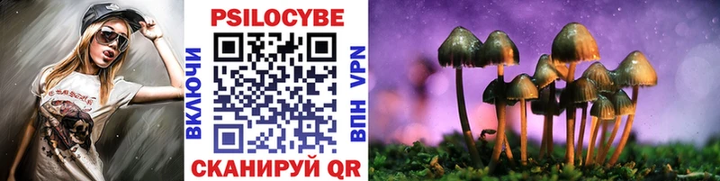 Псилоцибиновые грибы GOLDEN TEACHER  купить  цена  Жуковка 